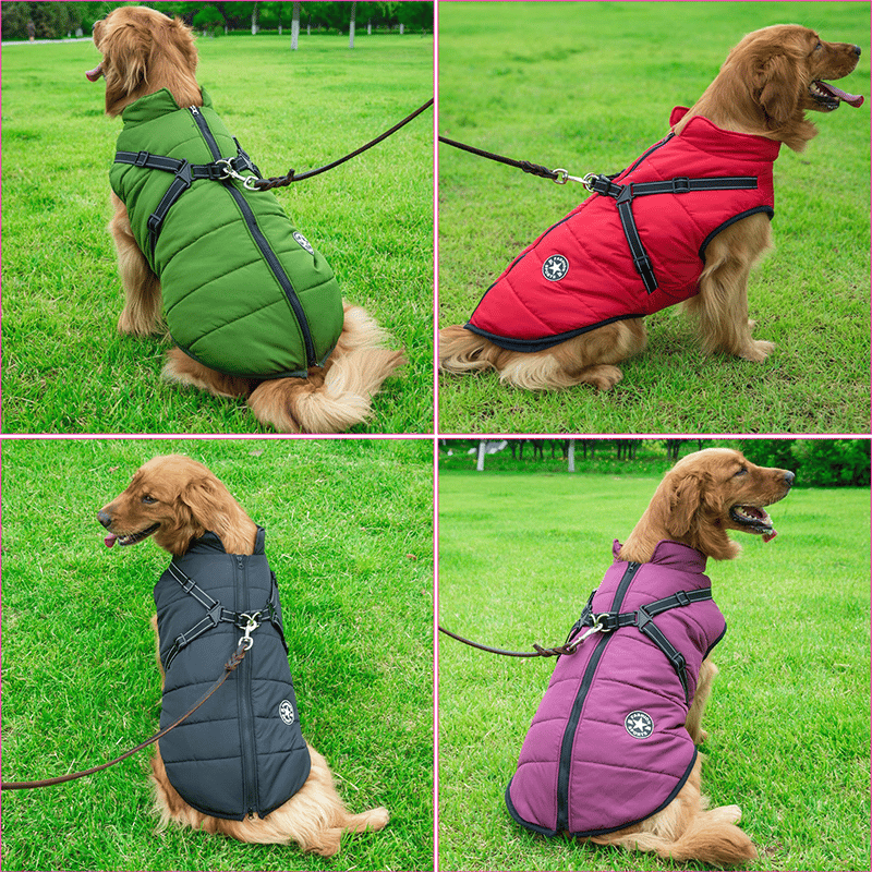 PupGuard - Cappotto invernale per cani con pettorina