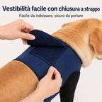 PawGuard maniche di recupero doppie per zampe anteriori dei cani - Protezione anti-leccamento senza collare elisabettian