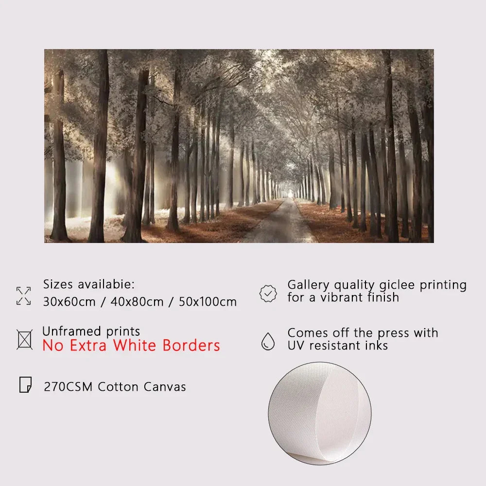 Autunno Sole Foresta Wall Art Fine Art Stampa su tela Immagine di paesaggio naturale per soggiorno Sala da pranzo Decorazione per la casa scandinava
