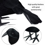 Decorazione per la casa di Halloween con corvo nero