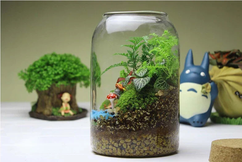 Vaso per terrario in vetro Kit per terrario succulento fatto a mano con fondo tondo Autunno 2025 Regalo per decorazioni per la casa da tavolo