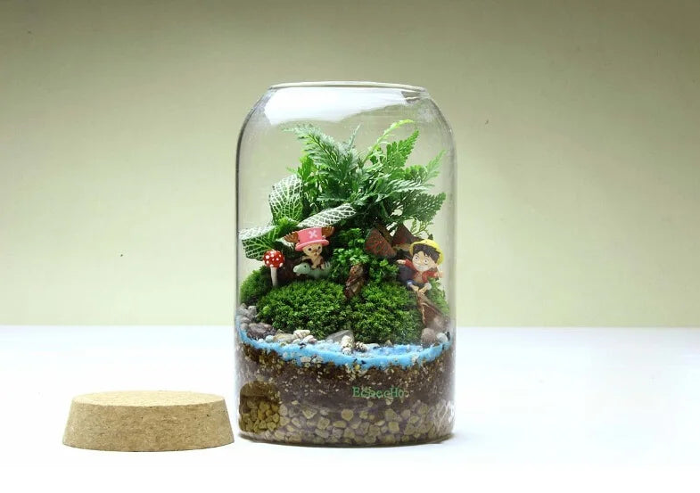 Vaso per terrario in vetro Kit per terrario succulento fatto a mano con fondo tondo Autunno 2025 Regalo per decorazioni per la casa da tavolo