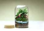 Vaso per terrario in vetro Kit per terrario succulento fatto a mano con fondo tondo Autunno 2025 Regalo per decorazioni per la casa da tavolo