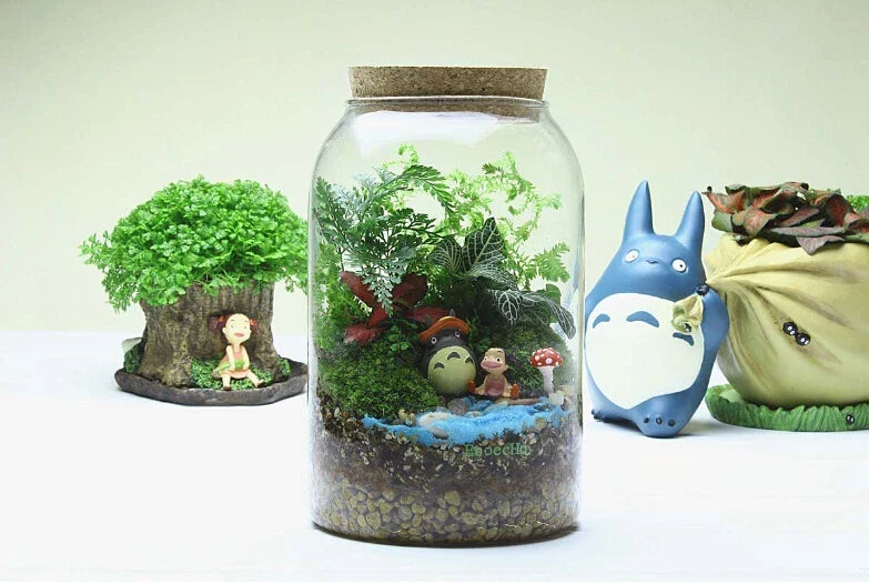 Vaso per terrario in vetro Kit per terrario succulento fatto a mano con fondo tondo Autunno 2025 Regalo per decorazioni per la casa da tavolo