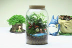 Vaso per terrario in vetro Kit per terrario succulento fatto a mano con fondo tondo Autunno 2025 Regalo per decorazioni per la casa da tavolo