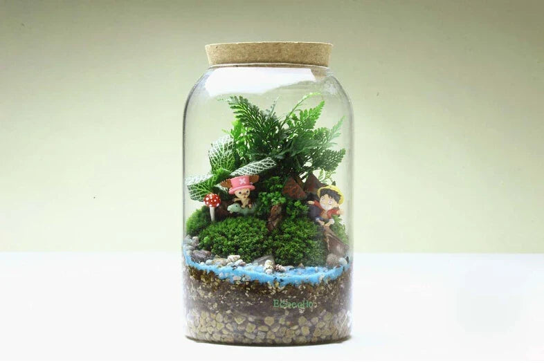 Vaso per terrario in vetro Kit per terrario succulento fatto a mano con fondo tondo Autunno 2025 Regalo per decorazioni per la casa da tavolo