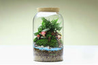 Vaso per terrario in vetro Kit per terrario succulento fatto a mano con fondo tondo Autunno 2025 Regalo per decorazioni per la casa da tavolo
