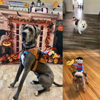 Costume da cane da cowboy di Halloween