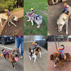 Costume da cane da cowboy di Halloween