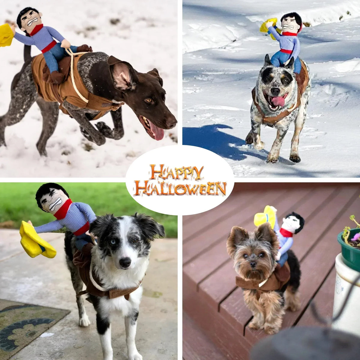 Costume da cane da cowboy di Halloween
