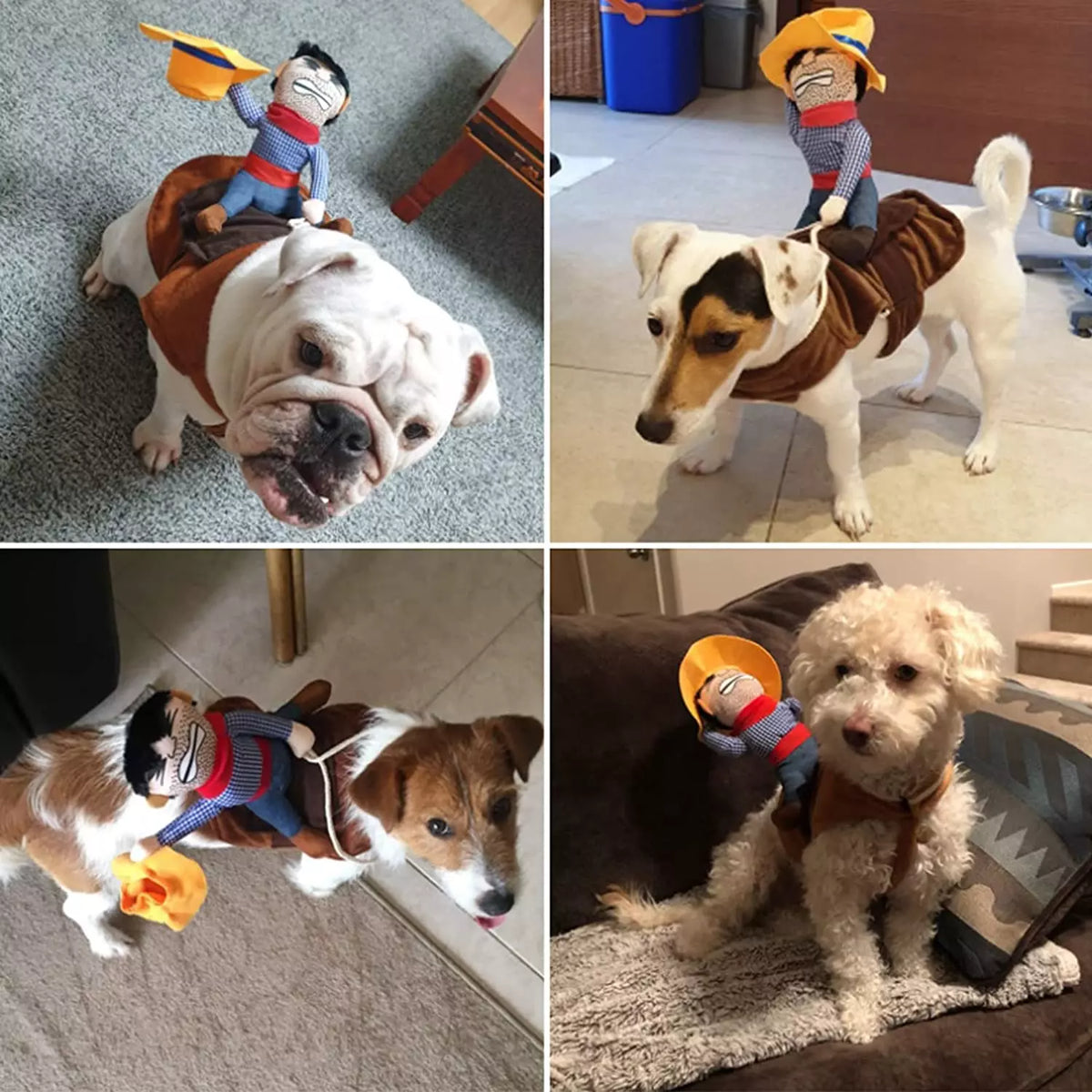 Costume da cane da cowboy di Halloween