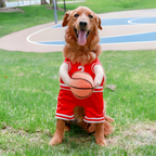 Costume da basket per Halloween