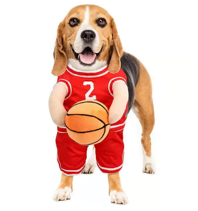 Costume da basket per Halloween