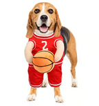 Costume da basket per Halloween