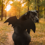 Costume da cane di Halloween con ali di pipistrello