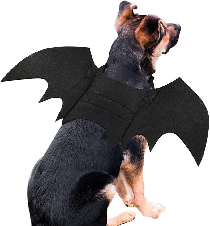 Costume da cane di Halloween con ali di pipistrello