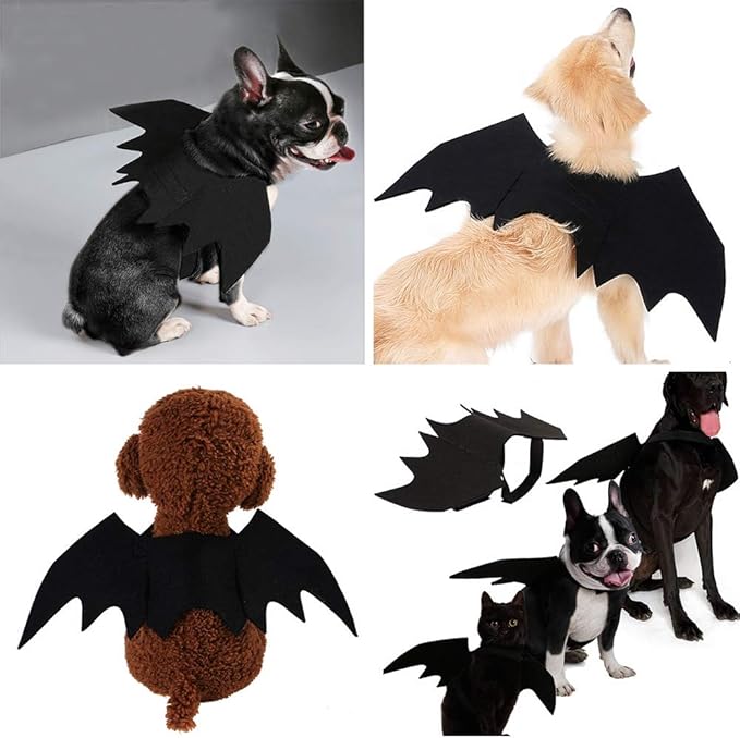 Costume da cane di Halloween con ali di pipistrello
