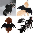 Costume da cane di Halloween con ali di pipistrello
