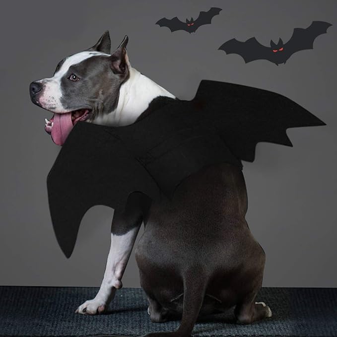 Costume da cane di Halloween con ali di pipistrello