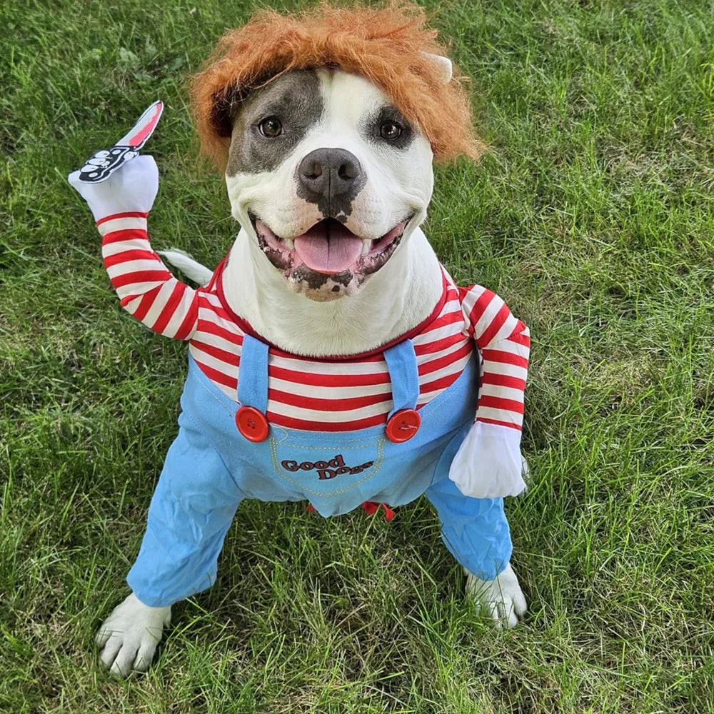 Costume da cane di Halloween Costume divertente per animali domestici