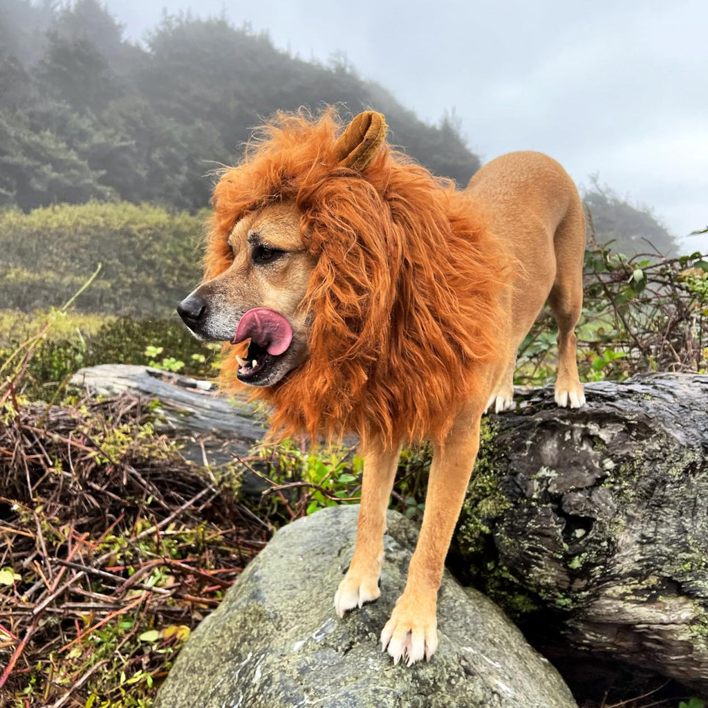 Parrucca con criniera di leone per costume da cane di Halloween