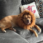 Parrucca con criniera di leone per costume da cane di Halloween