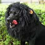 Parrucca con criniera di leone per costume da cane di Halloween