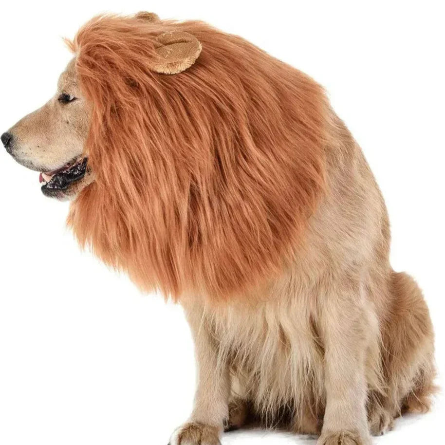 Parrucca con criniera di leone per costume da cane di Halloween