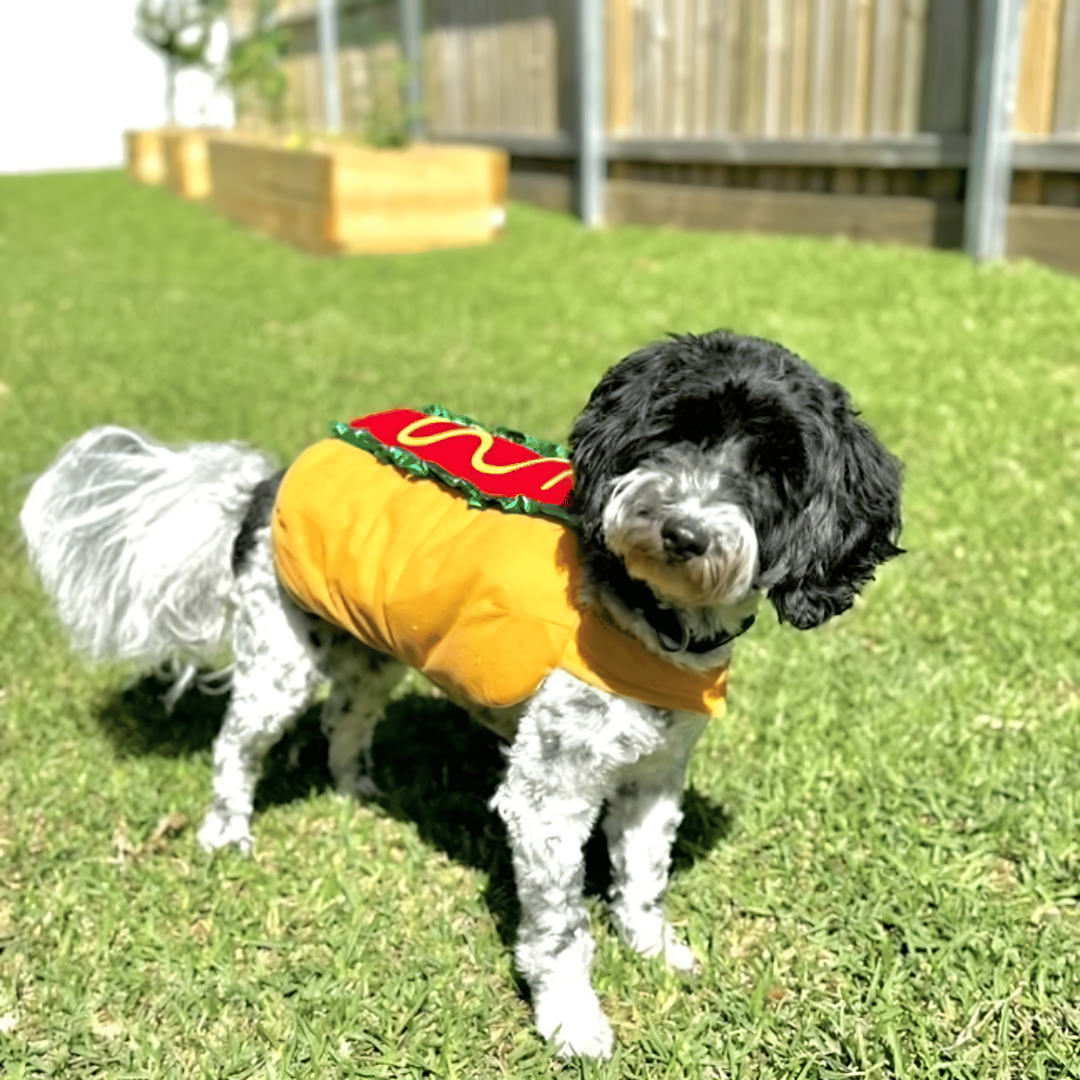 Costume da hot dog per Halloween