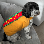 Costume da hot dog per Halloween