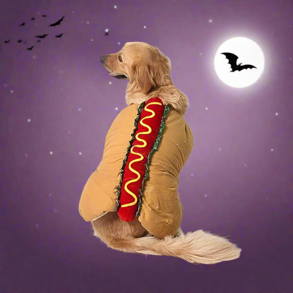Costume da hot dog per Halloween