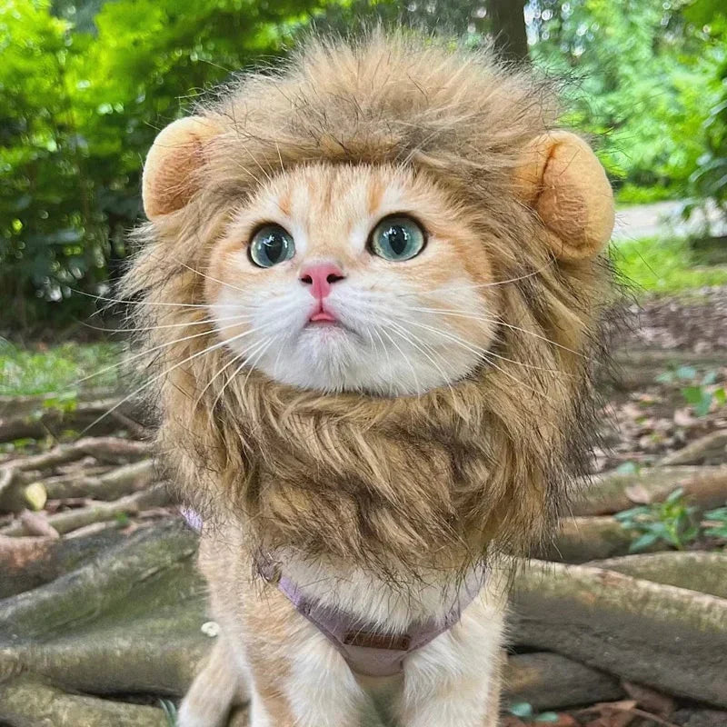 Costume da gatto con la criniera di leone di Halloween