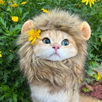 Costume da gatto con la criniera di leone di Halloween