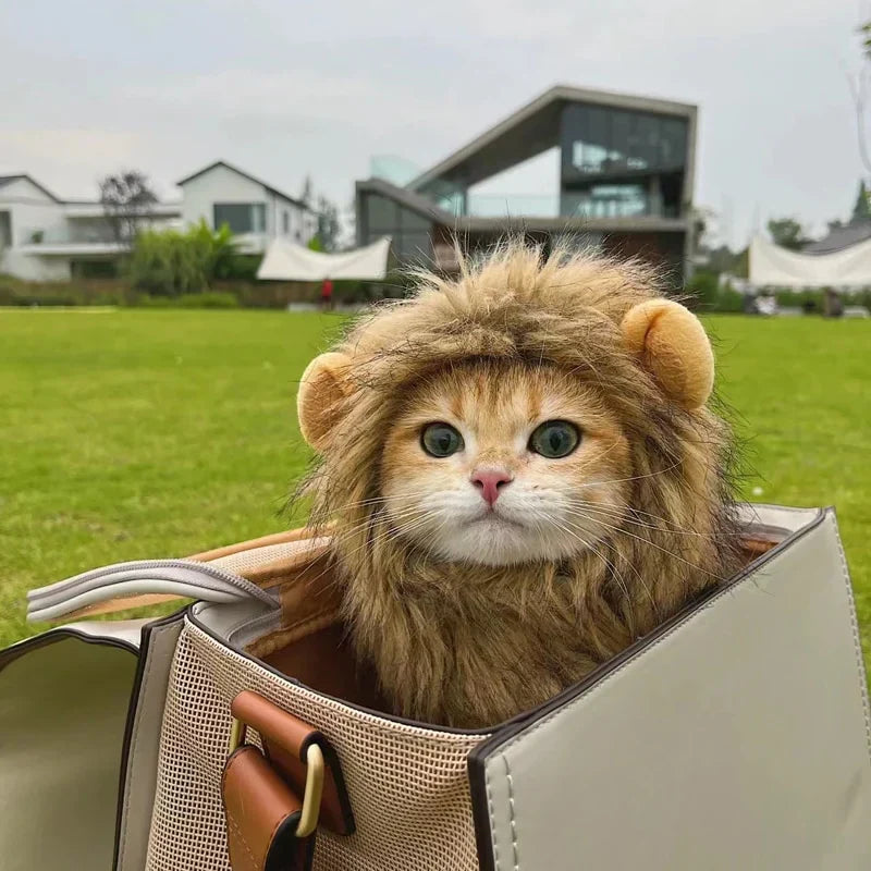 Costume da gatto con la criniera di leone di Halloween
