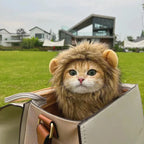 Costume da gatto con la criniera di leone di Halloween