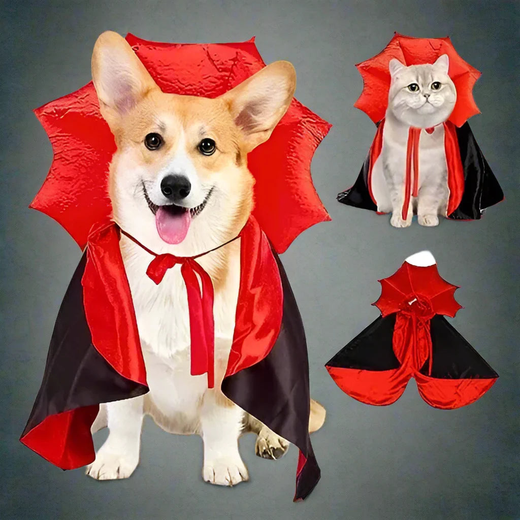 Costume da cane mantello da vampiro di Halloween