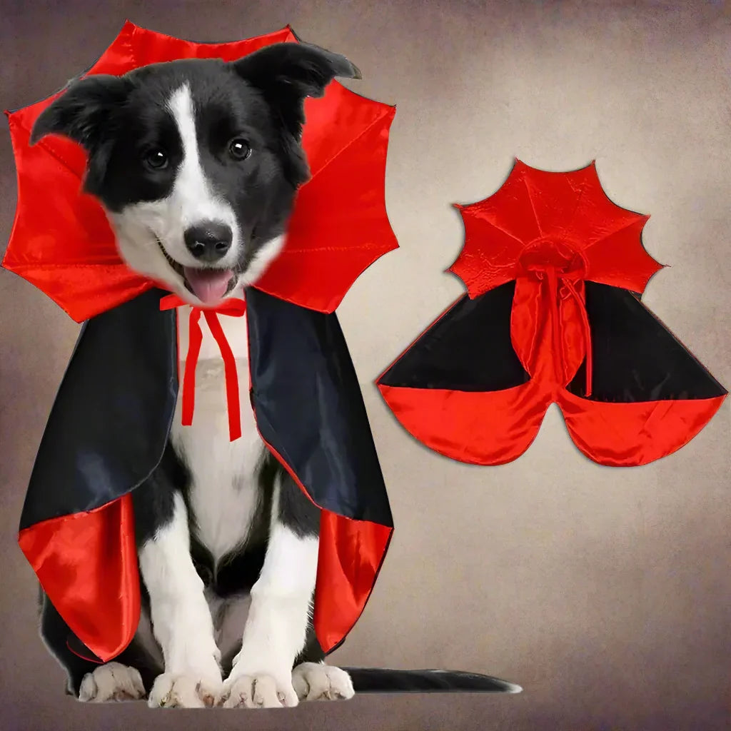 Costume da cane mantello da vampiro di Halloween