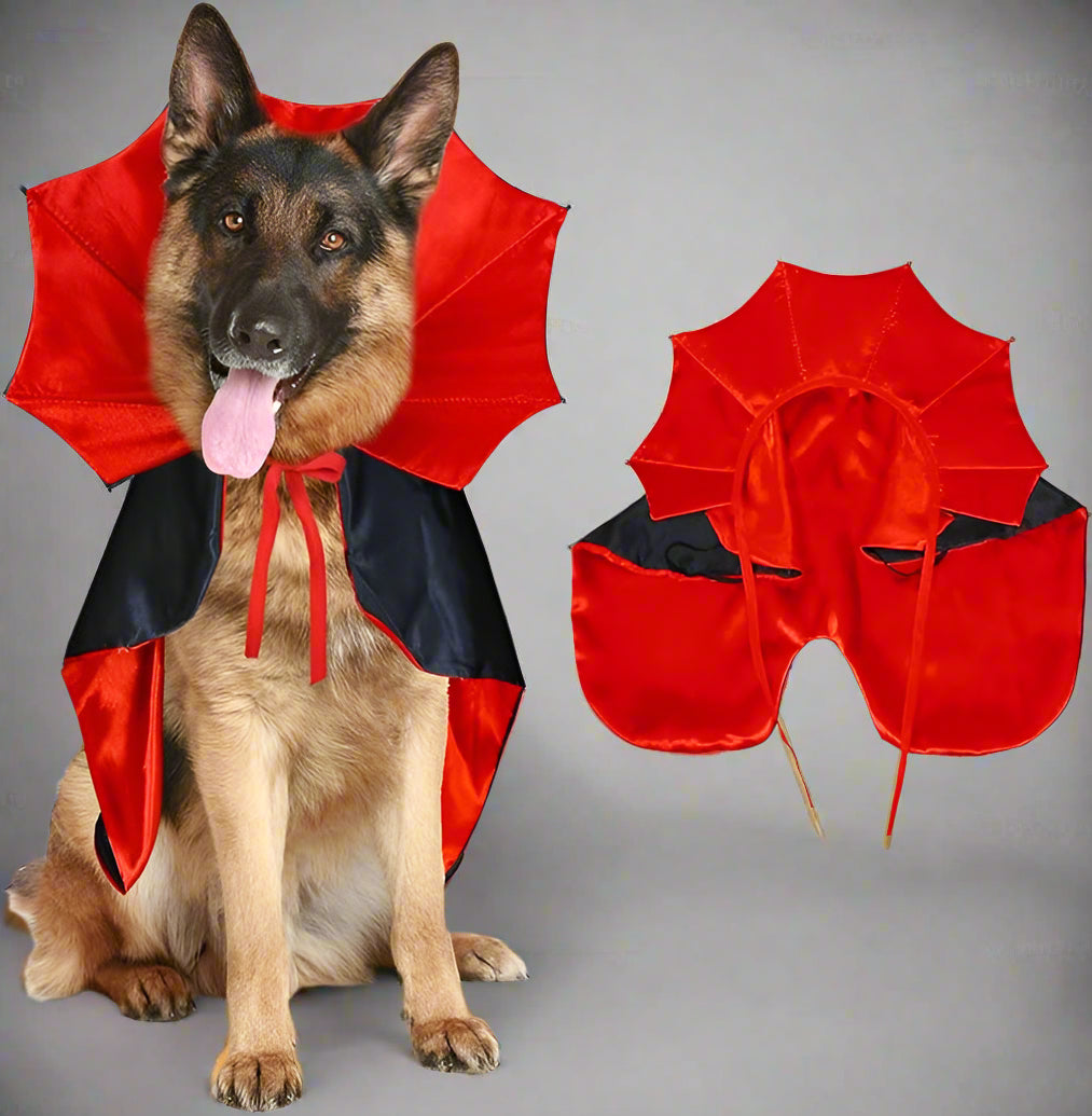 Costume da cane mantello da vampiro di Halloween