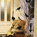 Decorazione per la casa di Halloween con corvo nero