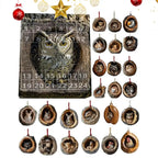 Calendario dell'Avvento con gatto, conto alla rovescia, ornamenti per albero da appendere