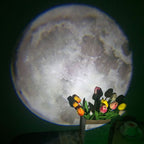 Lampada d'atmosfera con proiettore mini lunare