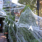 Ragnatela di Halloween con ragni - Decorazione per esterni/interni della casa stregata