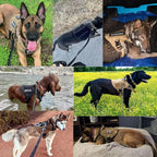 Pettorina tattica per cane di grado militare con sistema di sgancio rapido