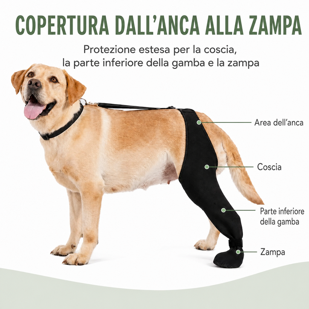 manicotto regolabile per cane per il recupero della zampa posteriore con copripolpastrello - Aiuta a limitare il leccame