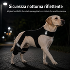 RearGuard Dog Rear Leg Support Brace - Fascia di supporto per zampe posteriori antiscivolo per cani anziani, pavimenti i