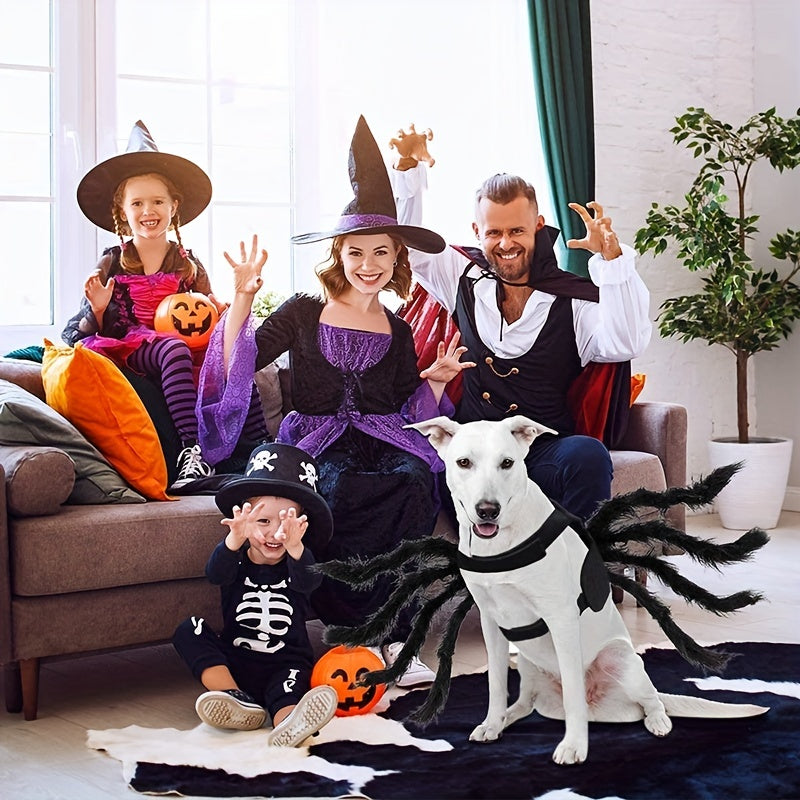 Divertente costume di Halloween per cane peloso | Progettazione del ragno