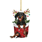 Decorazioni natalizie per cani con salsiccia