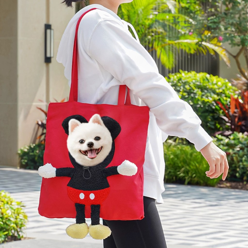 borsa trasportino aperta per gatti per passeggiate e visite dal veterinario - Borsa in canvas leggera per gatti e cani d