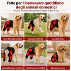 Manica indossabile per fototerapia a luce rossa per cani, utilizzata per la cura a domicilio della parte bassa della sch