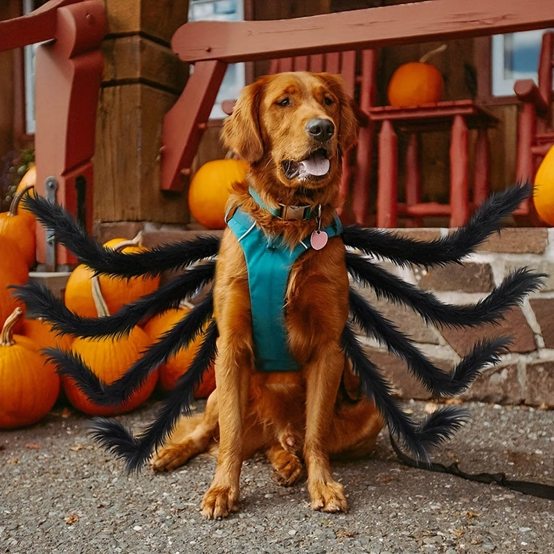 Divertente costume di Halloween per cane peloso | Progettazione del ragno